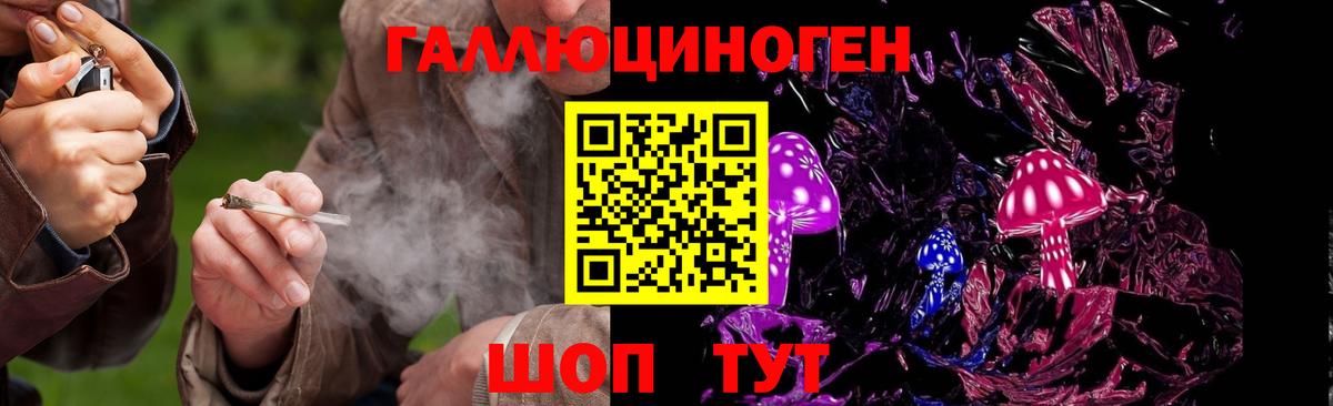 Псилоцибиновые грибы MAGIC MUSHROOMS Вязьма